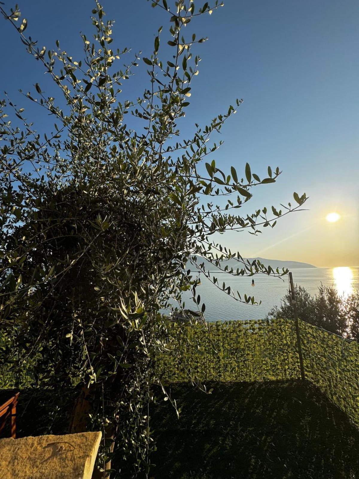 Premium Jonufer Vlorë
